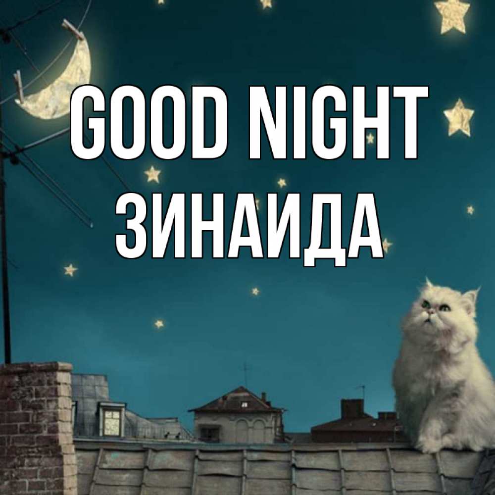 Greetings card с именем, Зинаида Good night белый кот сидит на крыше Greetings with text for free download 