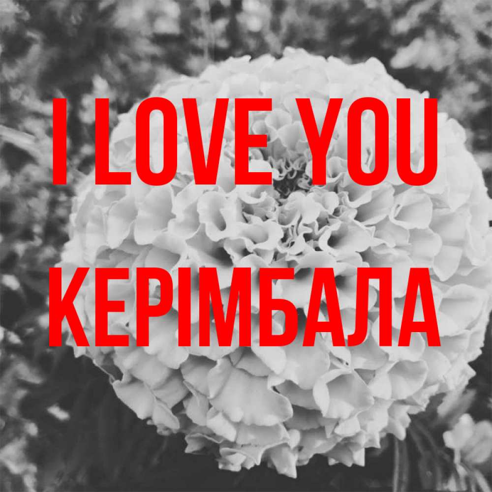 Greetings card с именем, КЕРІМБАЛА I love you подпись Greetings with text for free download 
