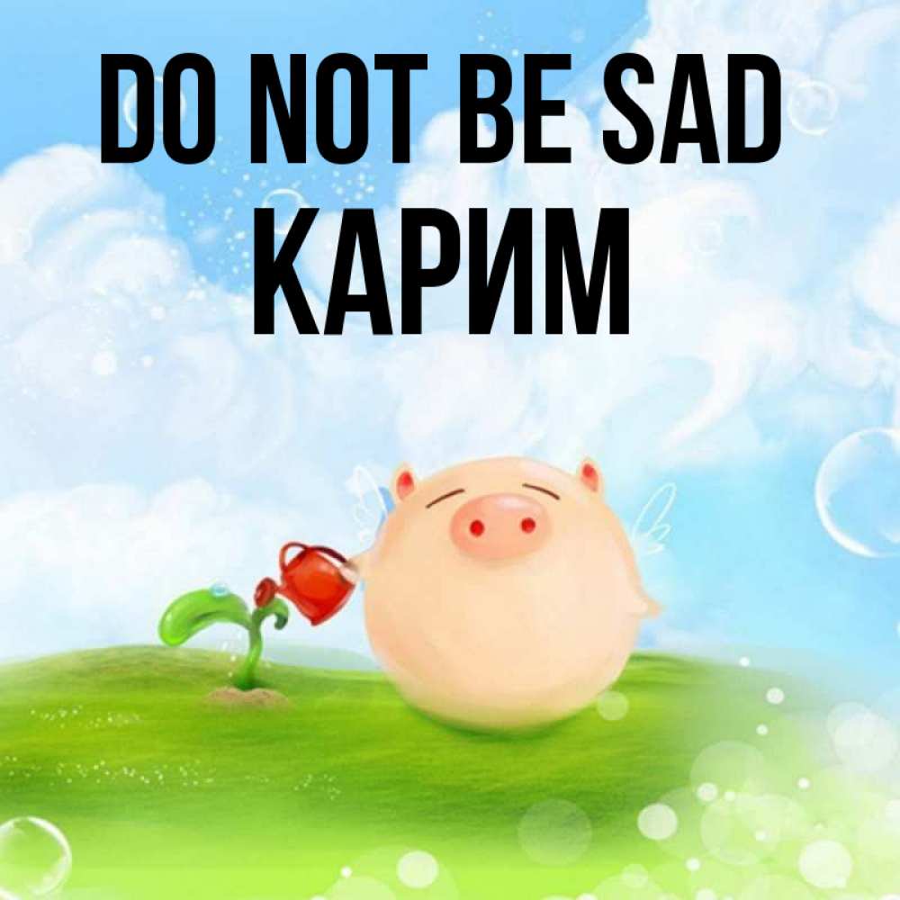 Greetings card с именем, Карим Do not be sad поливает цветок порося Greetings with text for free download 