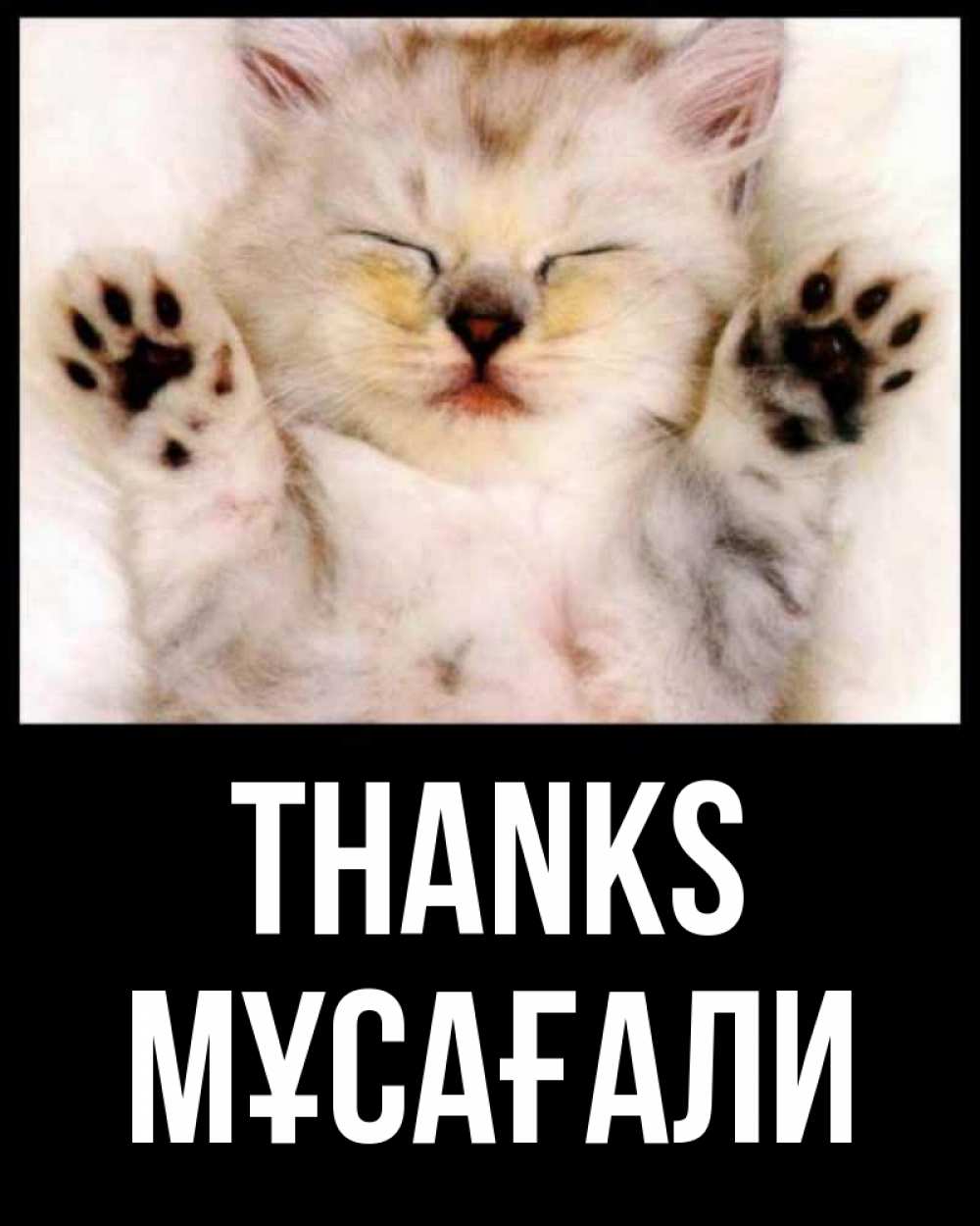 Greetings card с именем, Мұсағали Thanks маленький котенок Greetings with text for free download 