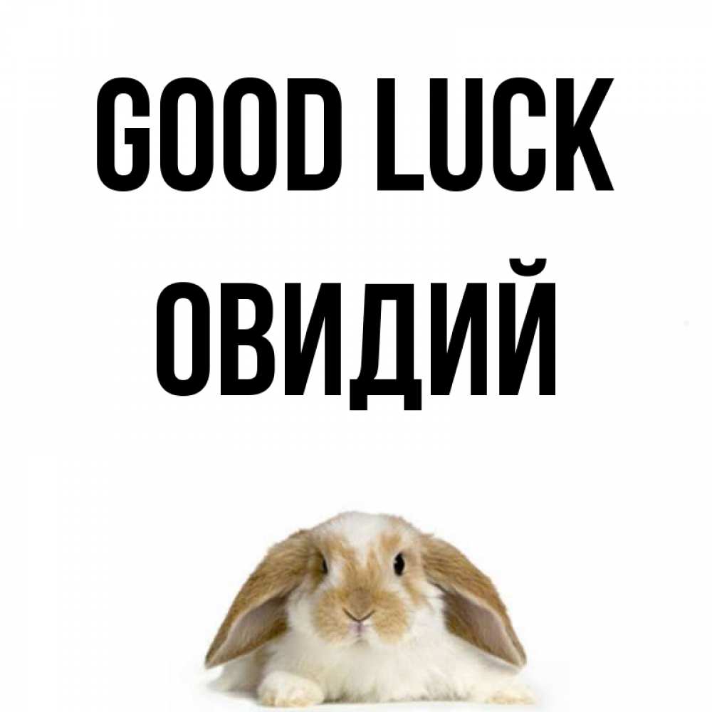 Greetings card с именем, Овидий Good luck открытки с произвольным текстом который можно вставить в открытку и создать ее самостоятельно бесплатно онлайн Greetings with text for free download 
