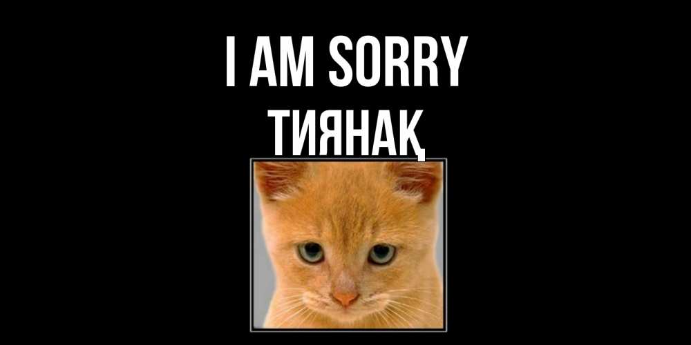 Greetings card с именем, ТИЯНАҚ I am sorry рыжий грустный кот просит прощения Greetings with text for free download 