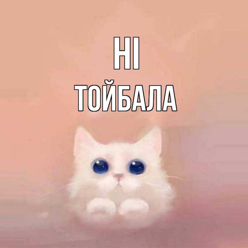 Greetings card с именем, ТОЙБАЛА Hi котик белый в полете Greetings with text for free download 