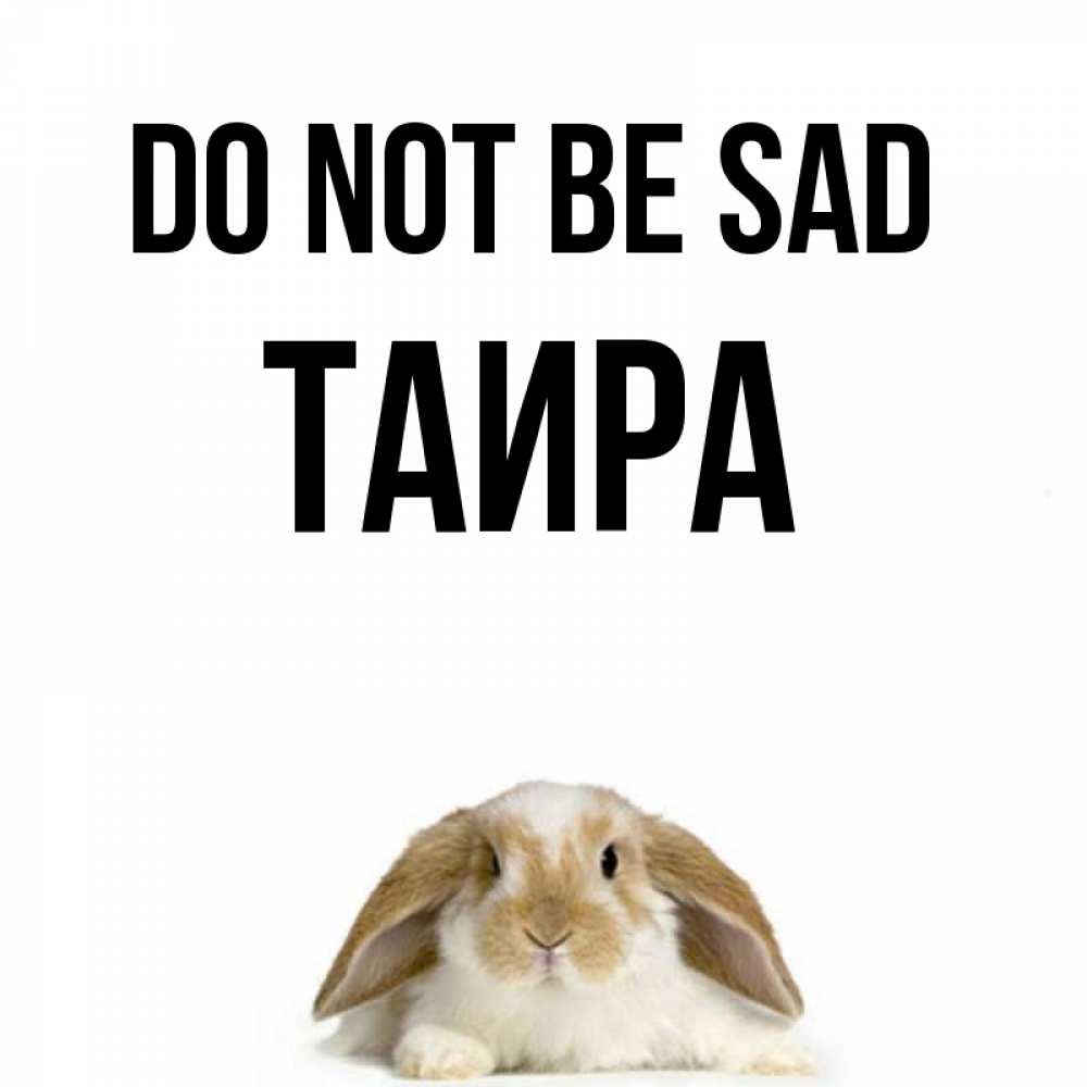 Greetings card с именем, Таира Do not be sad коричнево белый заяц с большими ушками Greetings with text for free download 