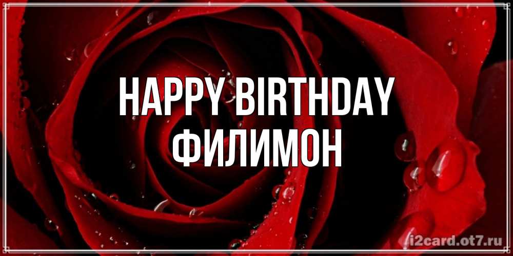 Greetings card с именем, Филимон Happy Birthday крупная бордовая роза Greetings with text for free download 