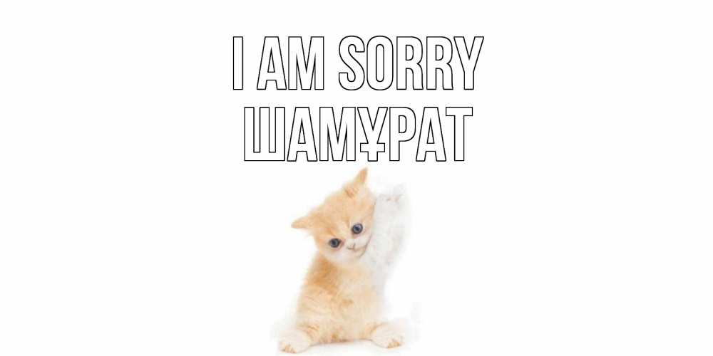 Greetings card с именем, ШАМҰРАТ I am sorry кот Greetings with text for free download 