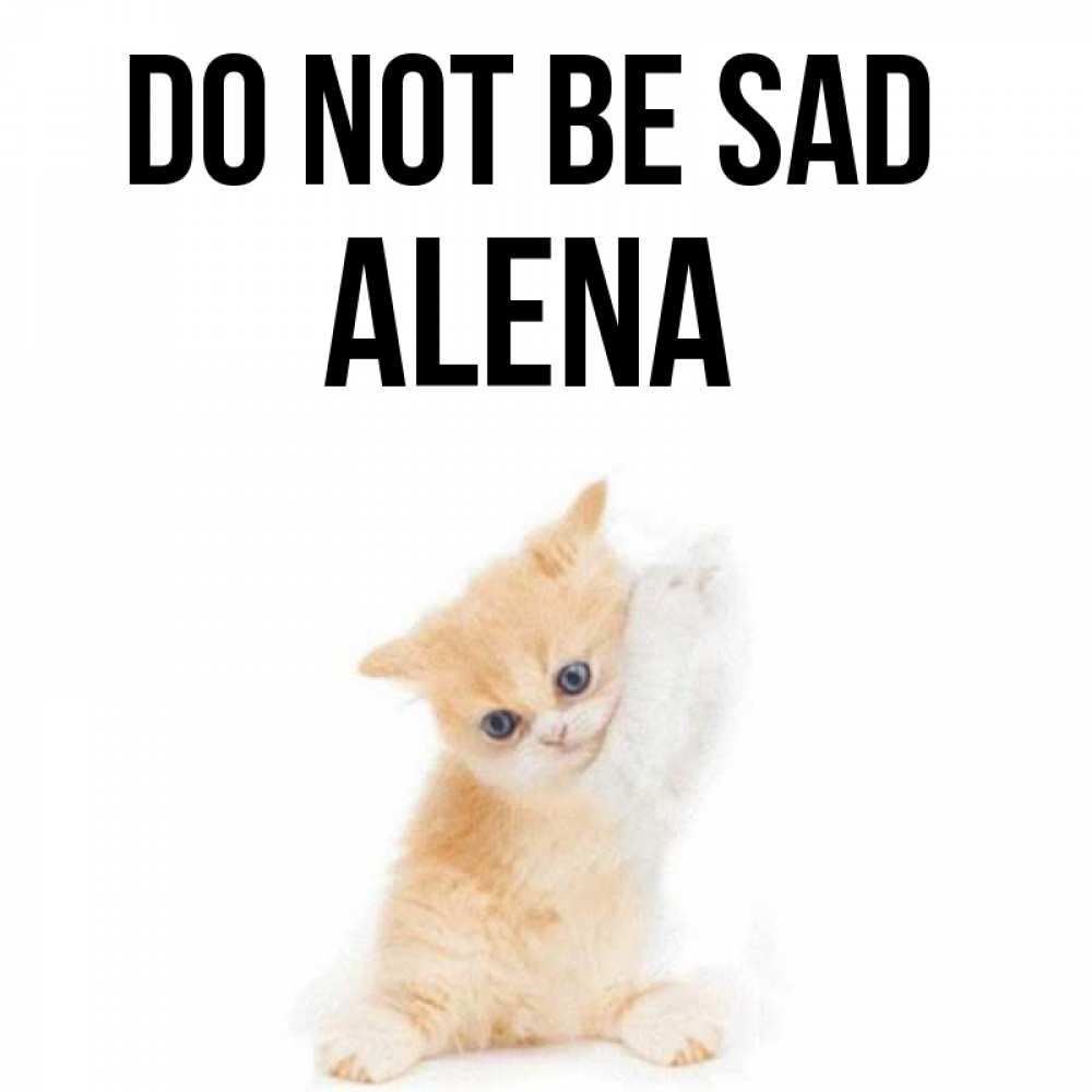 Greetings card с именем, Alena Do not be sad просящий кот Greetings with text for free download 