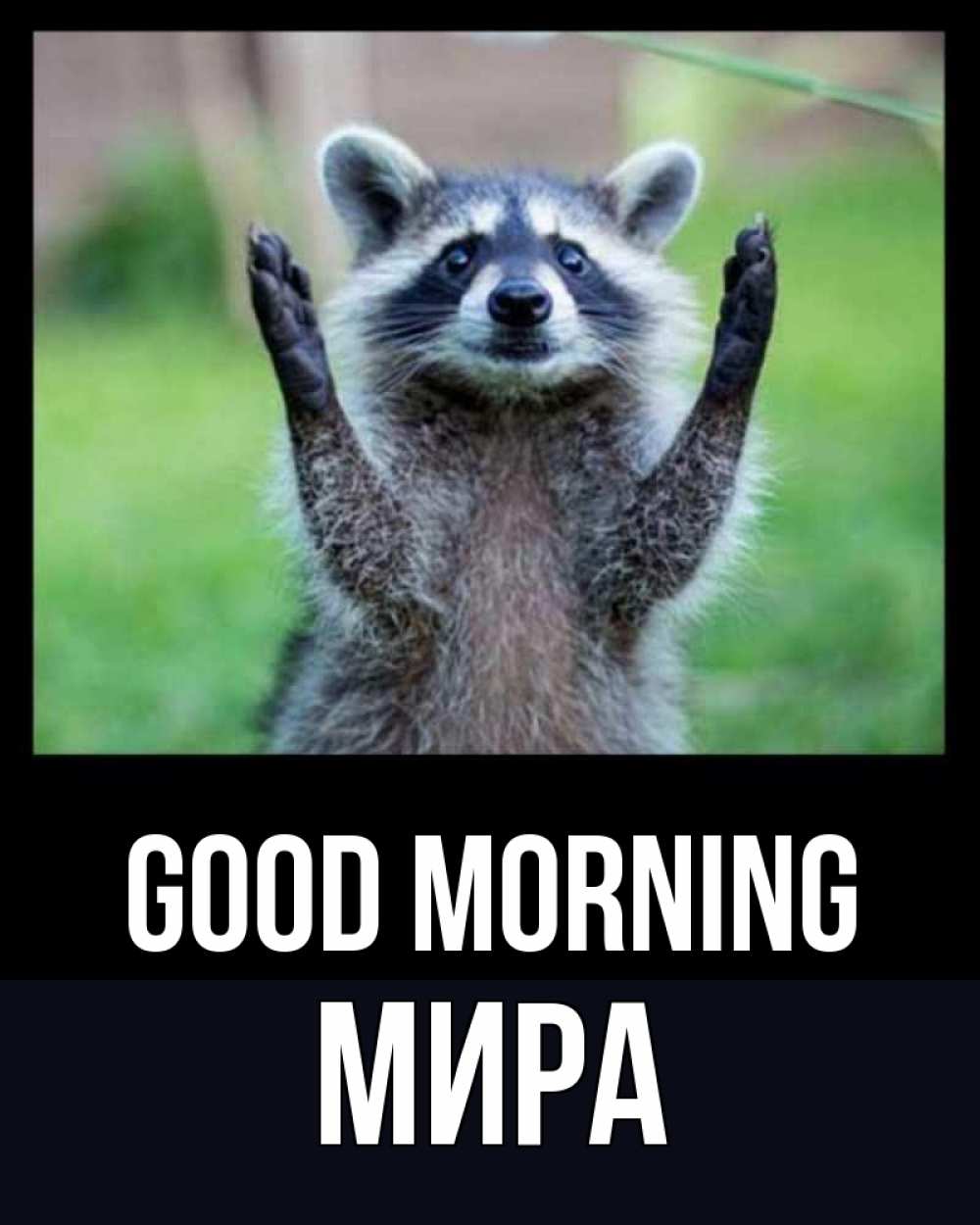 Greetings card с именем, МИРА Good morning хорошее настроение утречком Greetings with text for free download 