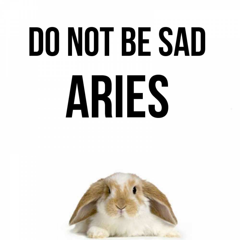 Greetings card с именем, Aries Do not be sad коричнево белый заяц с большими ушками Greetings with text for free download 