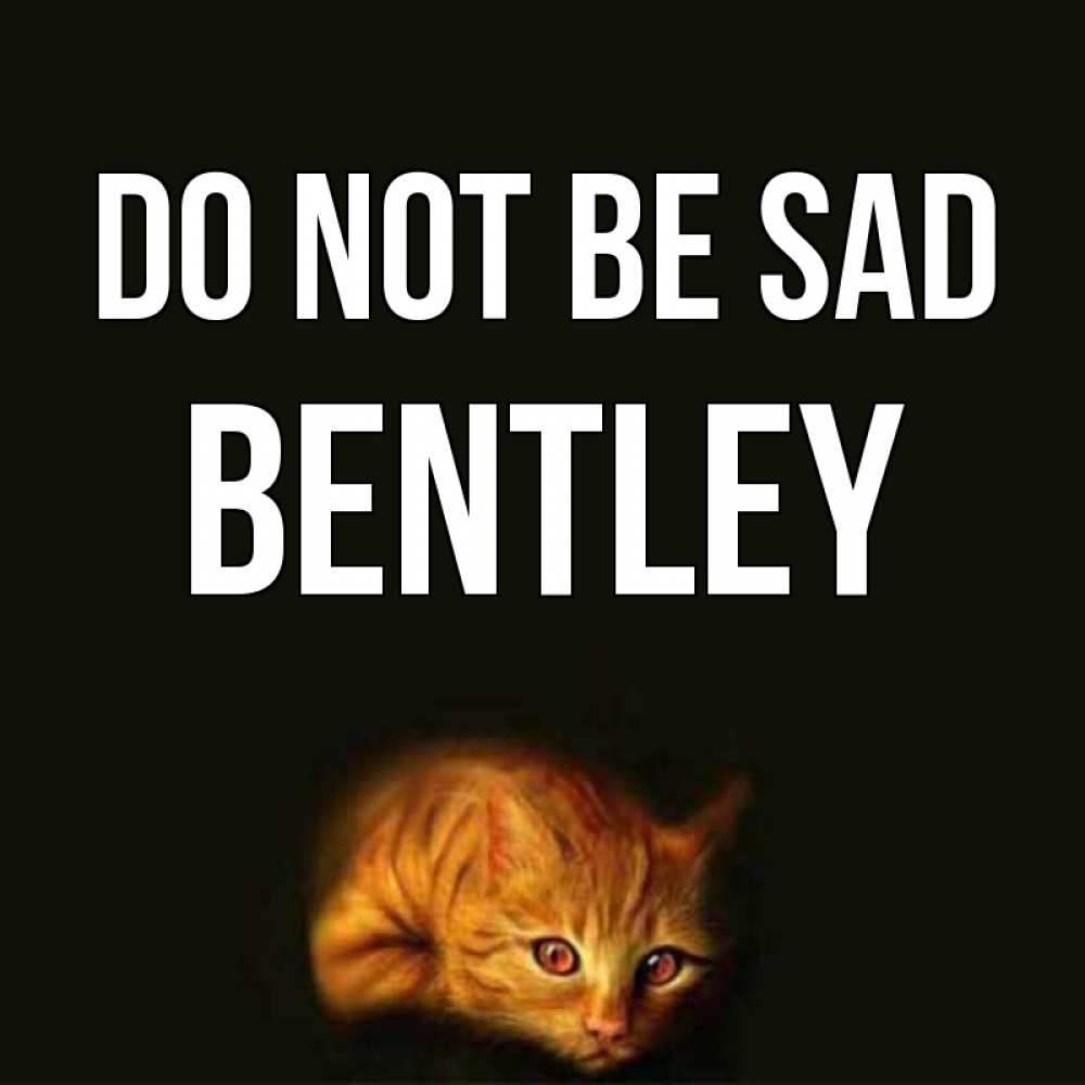 Greetings card с именем, Bentley Do not be sad лежащий кот в темноте Greetings with text for free download 