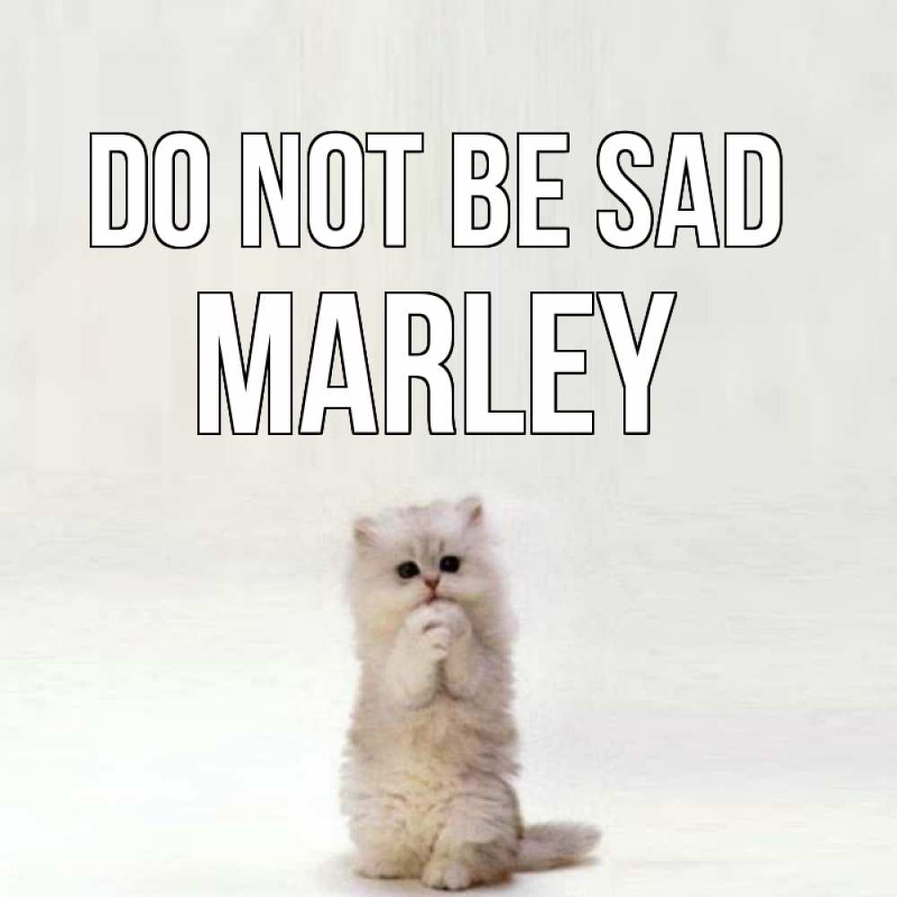 Greetings card с именем, Marley Do not be sad грустный кот Greetings with text for free download 