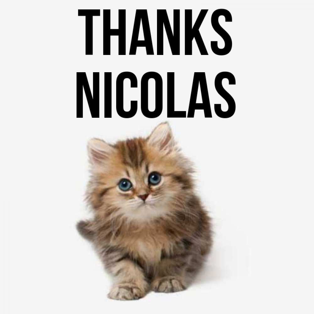 Greetings card с именем, Nicolas Thanks пушистый котик Greetings with text for free download 