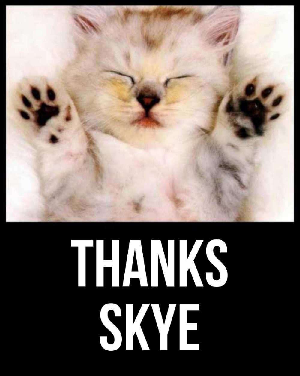 Greetings card с именем, Skye Thanks маленький котенок Greetings with text for free download 