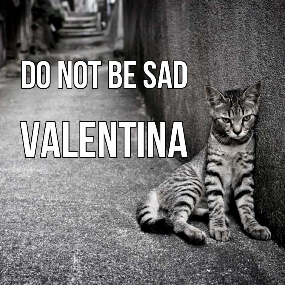 Greetings card с именем, Valentina Do not be sad скучающий котик Greetings with text for free download 