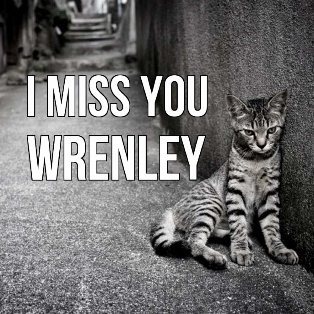 Greetings card с именем, Wrenley I miss you одиноко котику Greetings with text for free download 