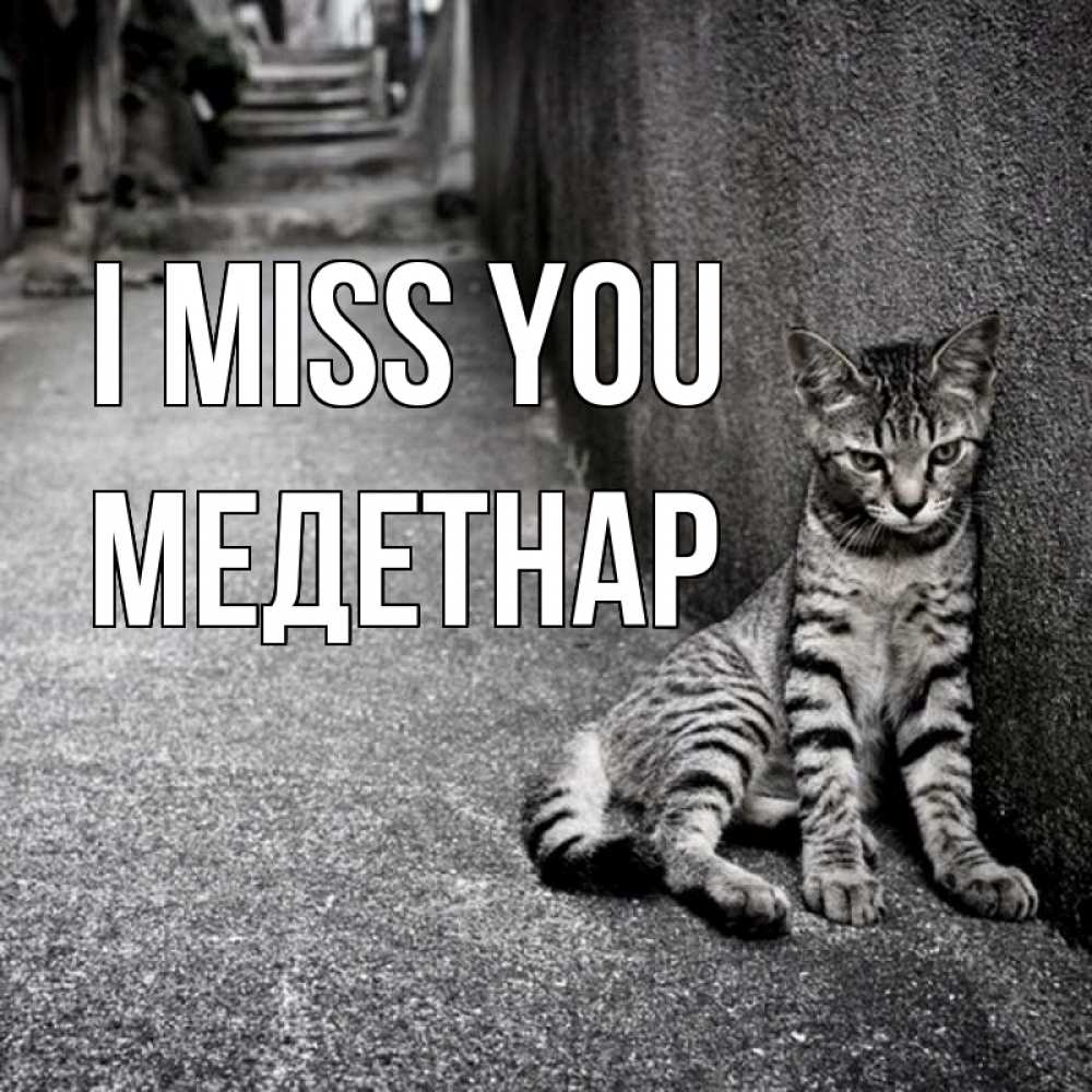 Greetings card с именем, МЕДЕТНАР I miss you одиноко котику Greetings with text for free download 