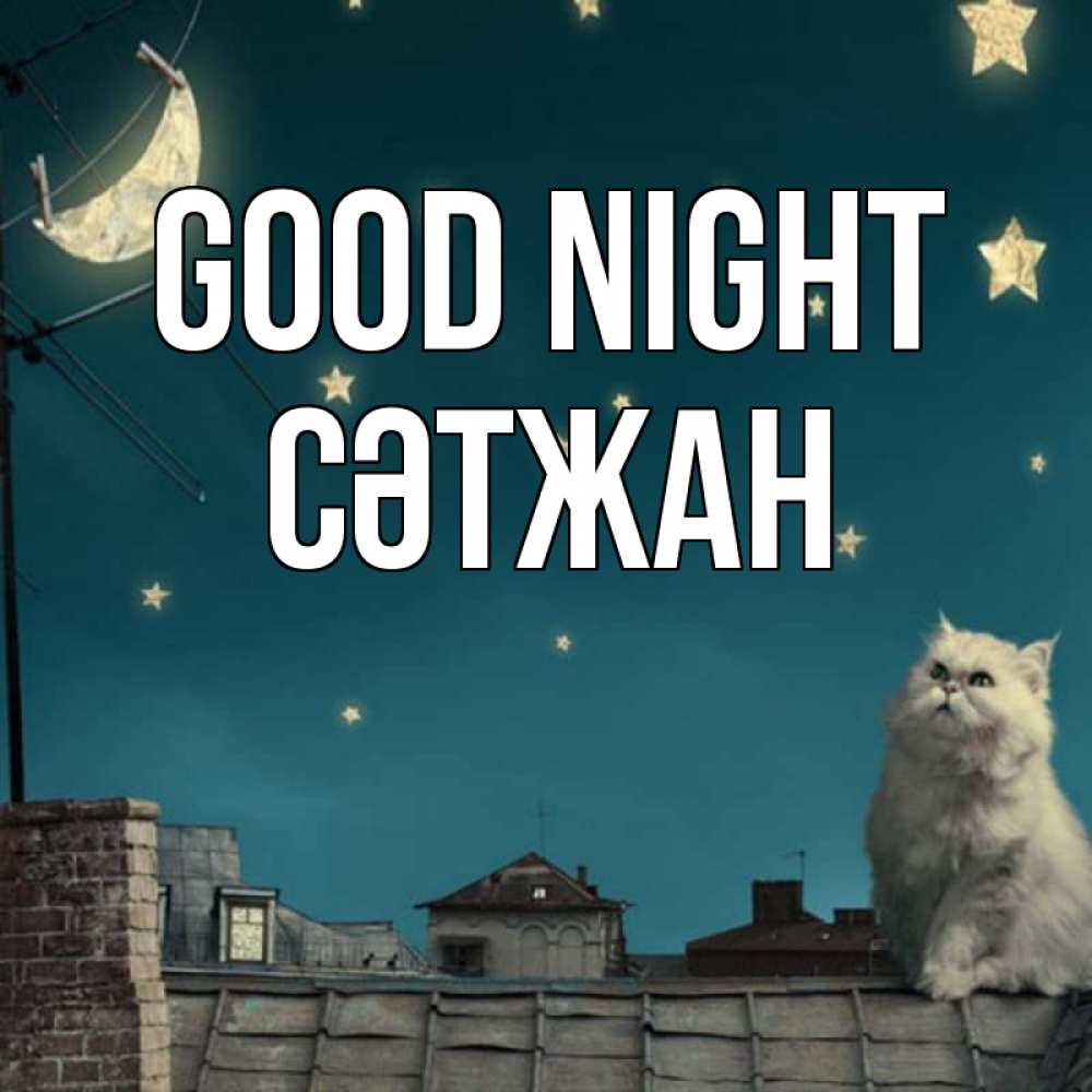 Greetings card с именем, СӘТЖАН Good night белый кот сидит на крыше Greetings with text for free download 