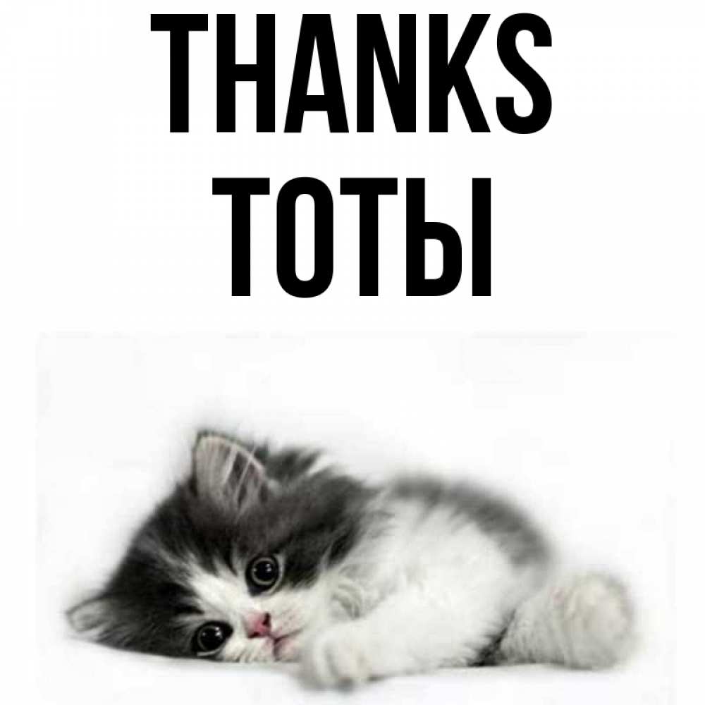 Greetings card с именем, ТОТЫ Thanks черный и белый кот Greetings with text for free download 