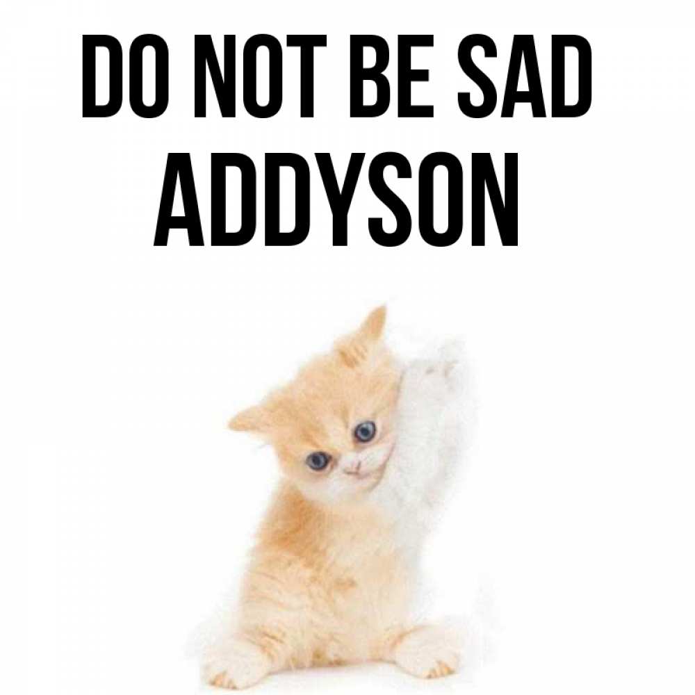 Greetings card с именем, Addyson Do not be sad просящий кот Greetings with text for free download 