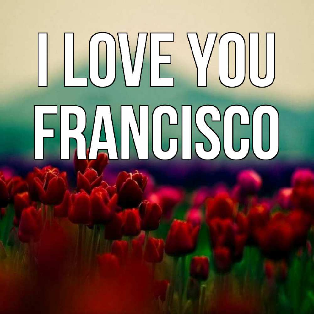 Greetings card с именем, Francisco I love you тюльпаны 4 Greetings with text for free download 