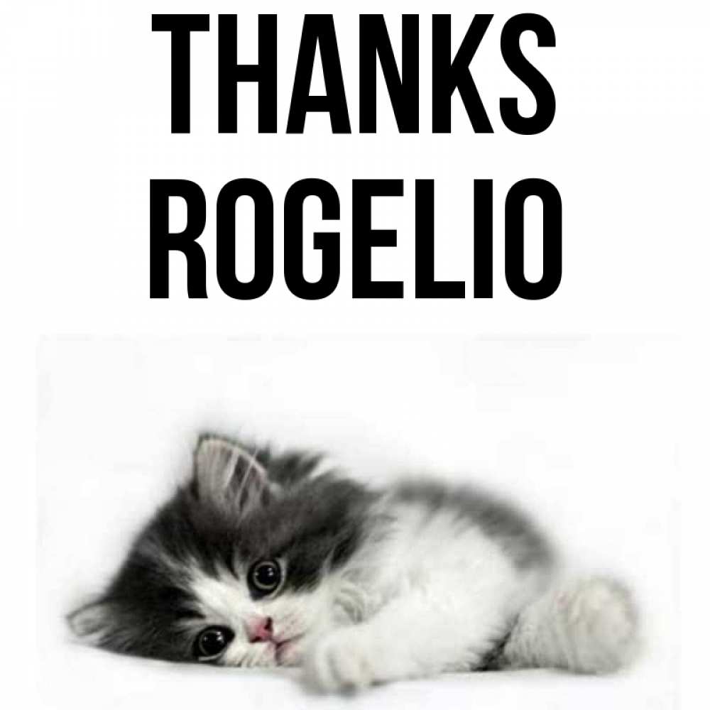 Greetings card с именем, Rogelio Thanks черный и белый кот Greetings with text for free download 