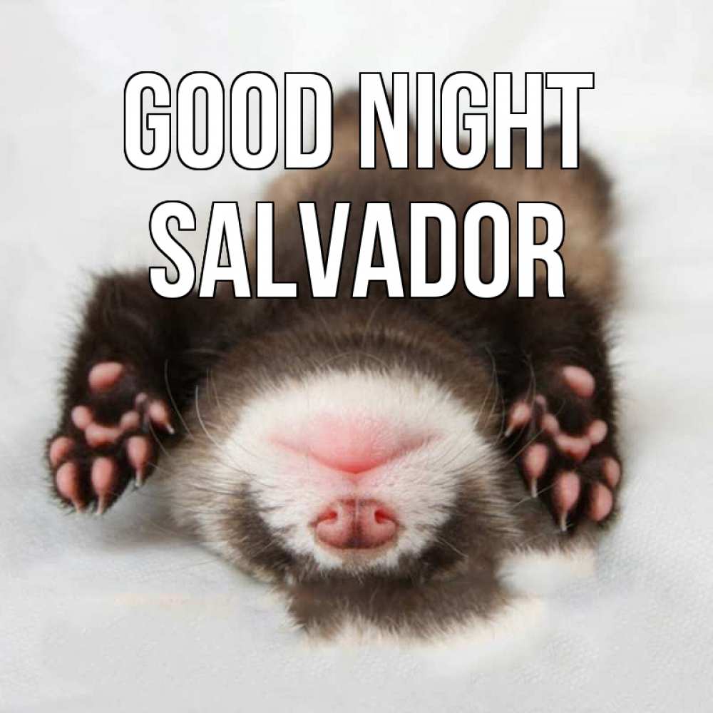 Greetings card с именем, Salvador Good night зверек Greetings with text for free download 