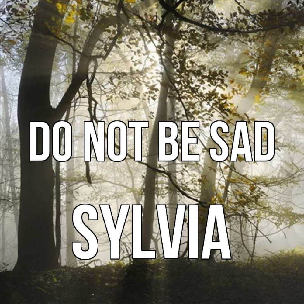 Greetings card с именем, Sylvia Do not be sad лес и свет Greetings with text for free download 