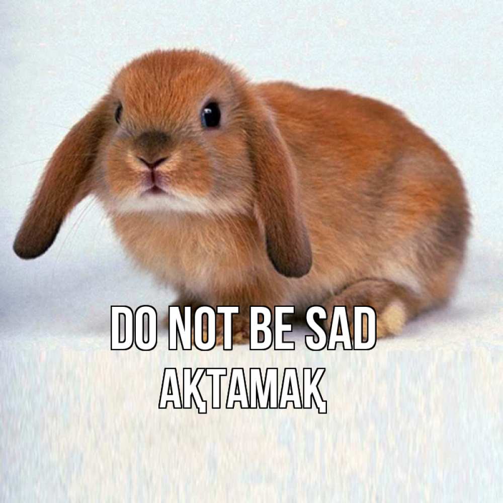 Greetings card с именем, Ақтамақ Do not be sad вислоухий рыжий кролик Greetings with text for free download 