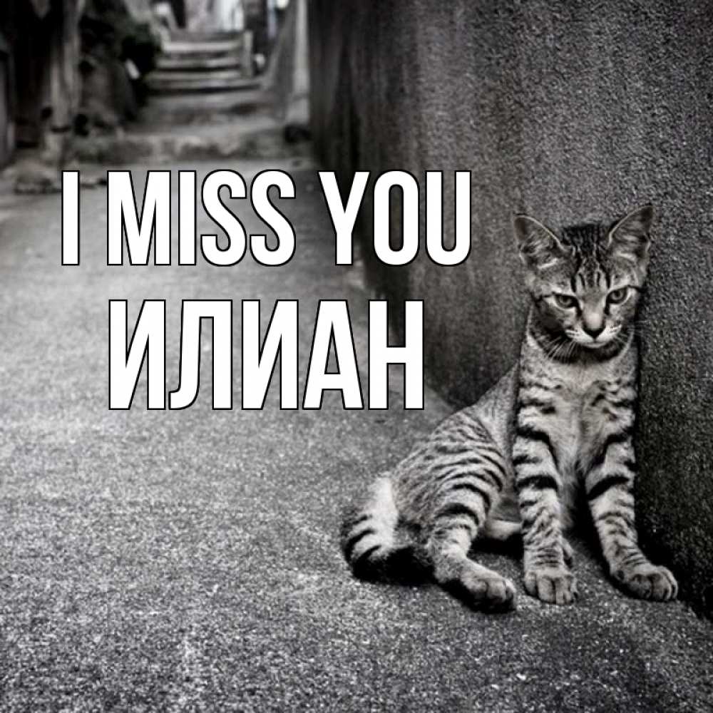 Greetings card с именем, Илиан I miss you одиноко котику Greetings with text for free download 