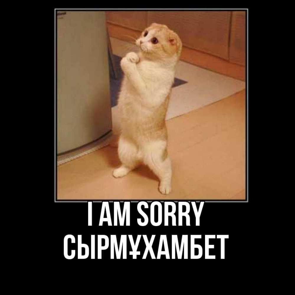 Greetings card с именем, СЫРМҰХАМБЕТ I am sorry открытка с милым несчастным котиком просящим прощения Greetings with text for free download 