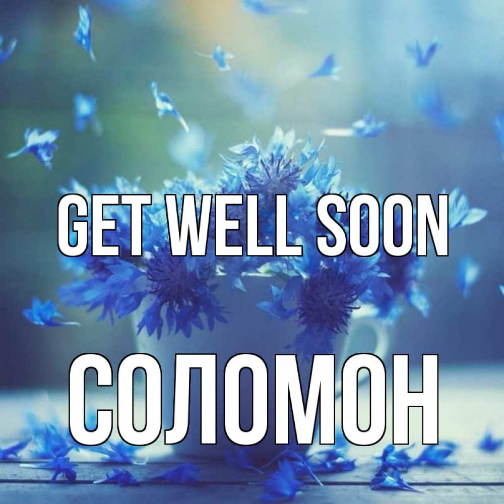 Greetings card с именем, Соломон Get well soon кружка с зельем и цветами Greetings with text for free download 