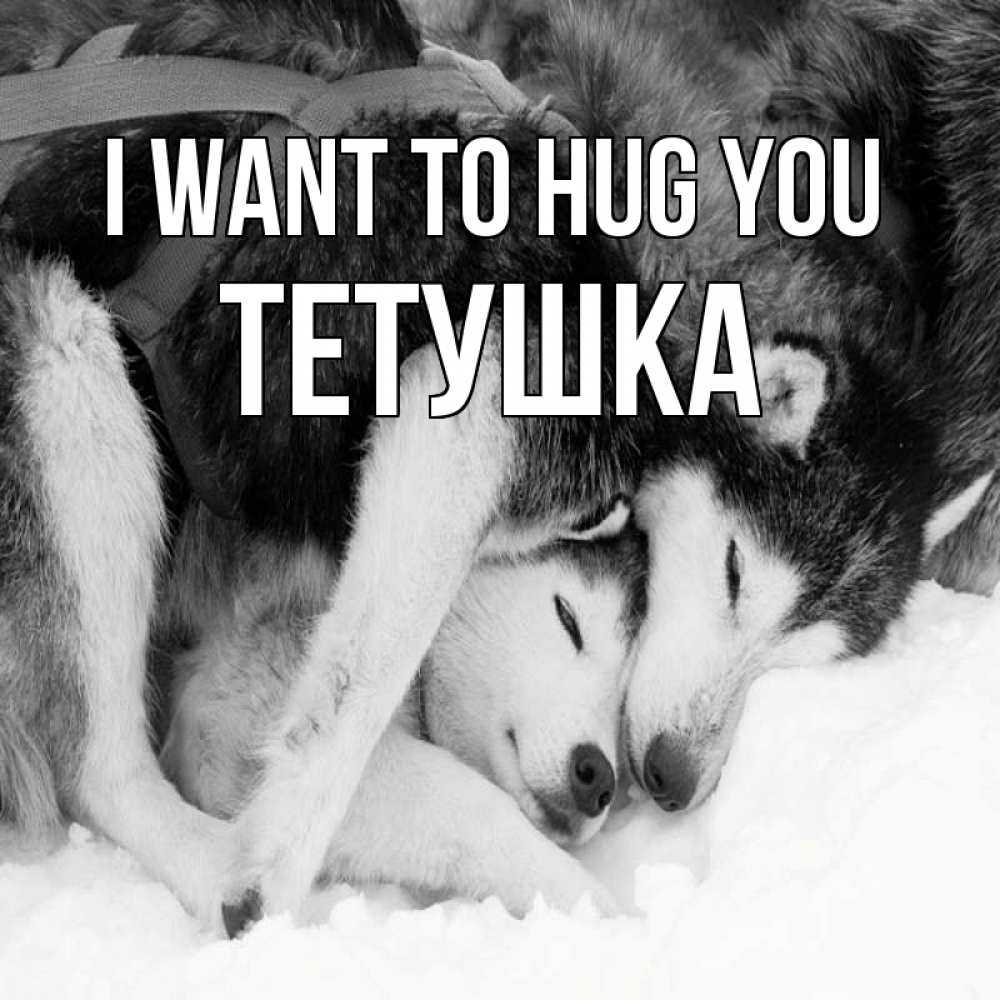 Greetings card с именем, Тетушка I want to hug you собачки в упряжке Greetings with text for free download 
