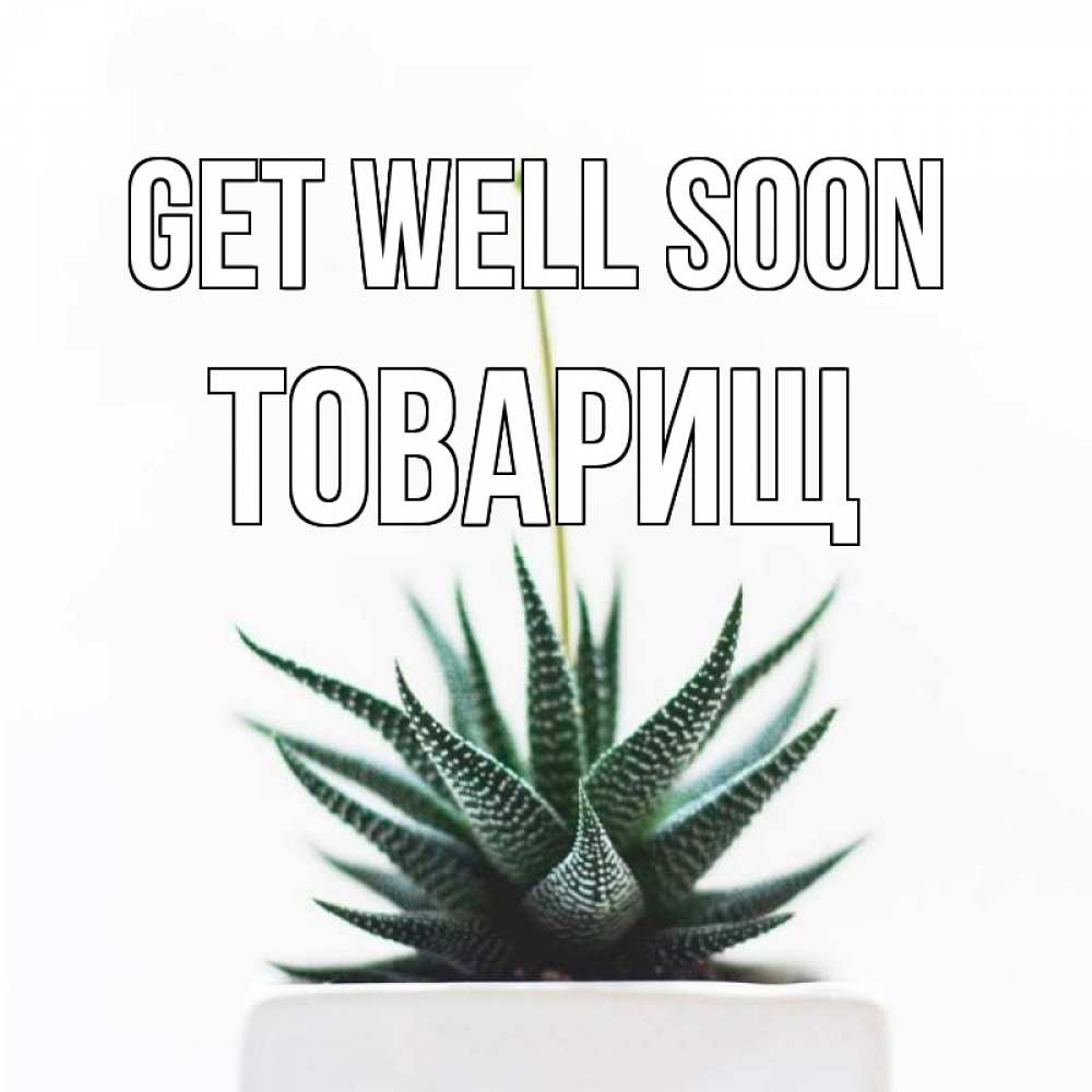 Greetings card с именем, Товарищ Get well soon короче это непонятная колючка Greetings with text for free download 