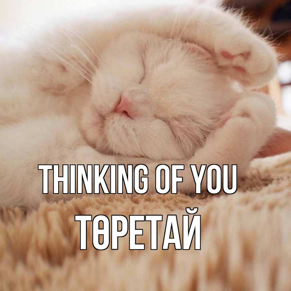 Greetings card с именем, Төретай Thinking of you для любимой девушки милота Greetings with text for free download 