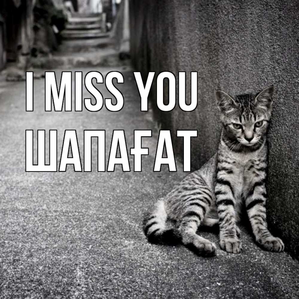 Greetings card с именем, ШАПАҒАТ I miss you одиноко котику Greetings with text for free download 
