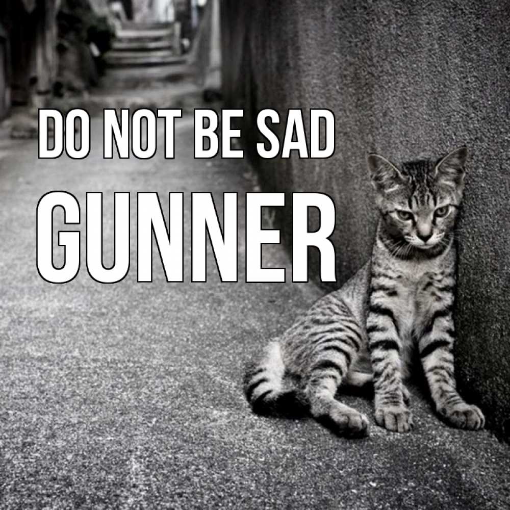 Greetings card с именем, Gunner Do not be sad скучающий котик Greetings with text for free download 