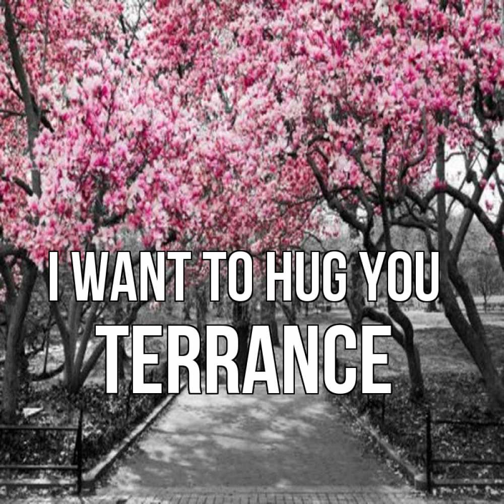Greetings card с именем, Terrance I want to hug you обработанное фото Greetings with text for free download 