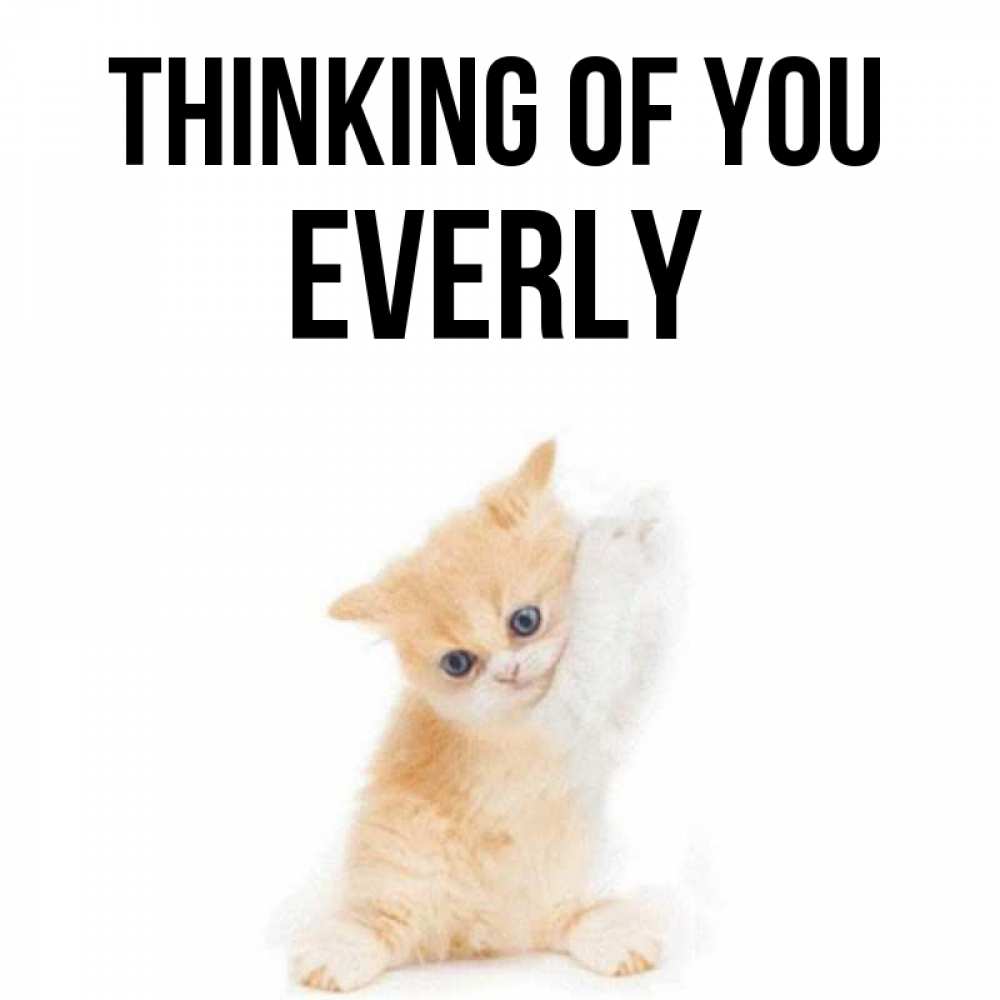 Greetings card с именем, Everly Thinking of you зверушки и милота Greetings with text for free download 