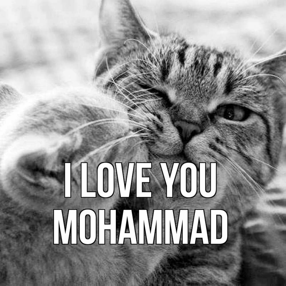 Greetings card с именем, Mohammad I love you коты Greetings with text for free download 
