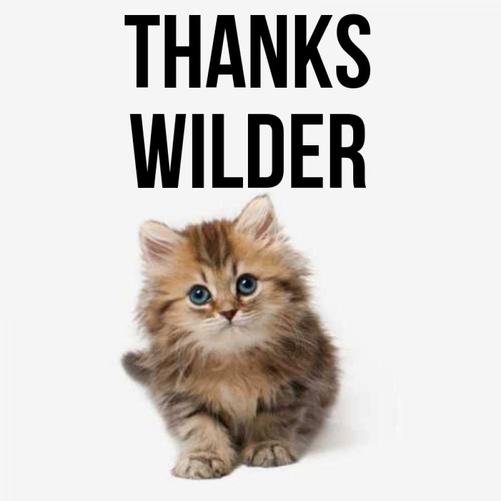Greetings card с именем, Wilder Thanks пушистый котик Greetings with text for free download 