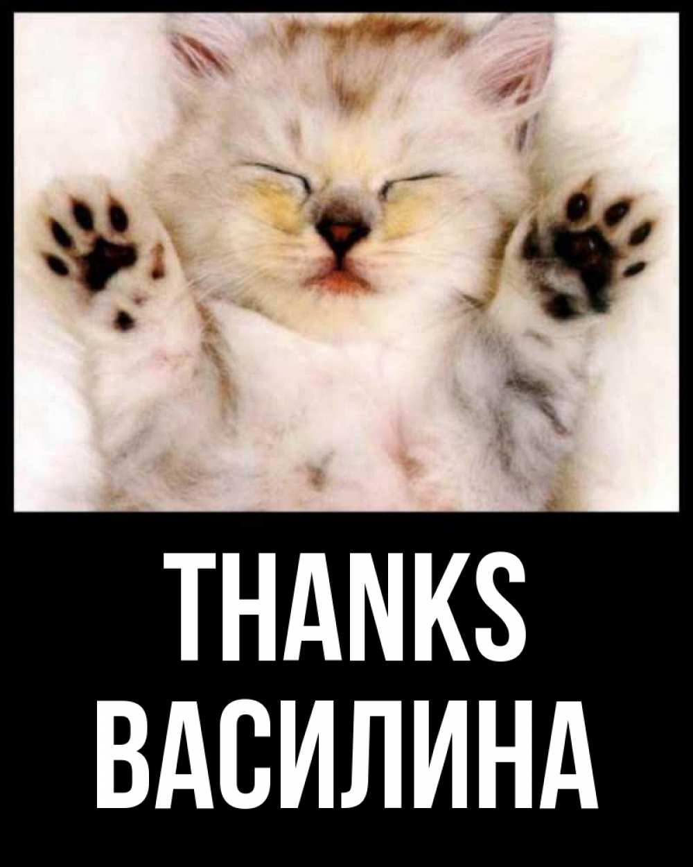 Greetings card с именем, Василина Thanks маленький котенок Greetings with text for free download 