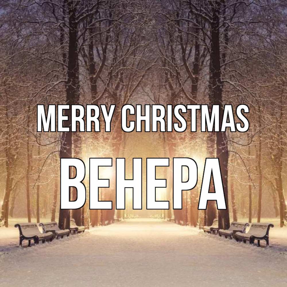 Greetings card с именем, Венера Merry Christmas зима, парк, фонарь, лес Greetings with text for free download 