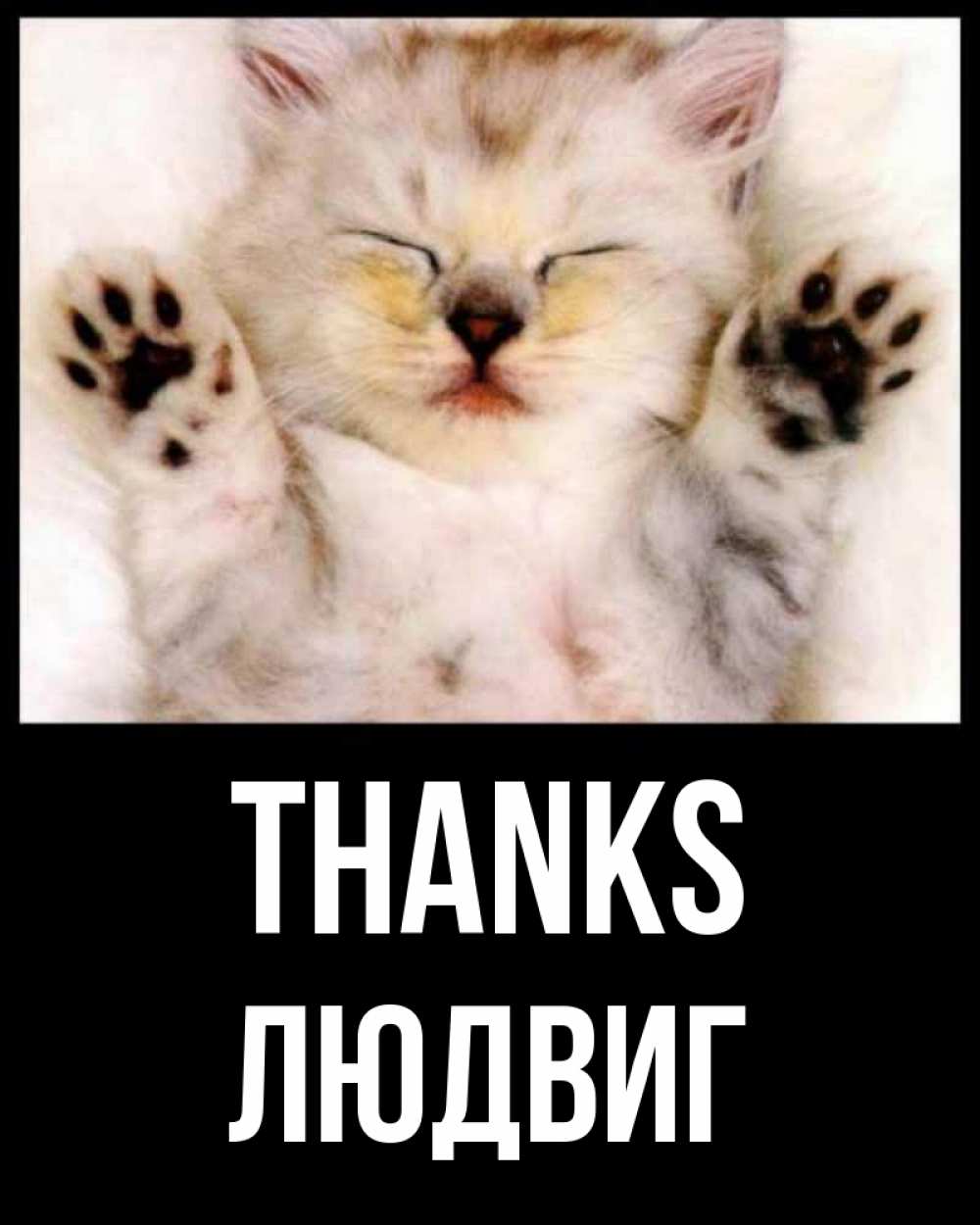Greetings card с именем, Людвиг Thanks маленький котенок Greetings with text for free download 