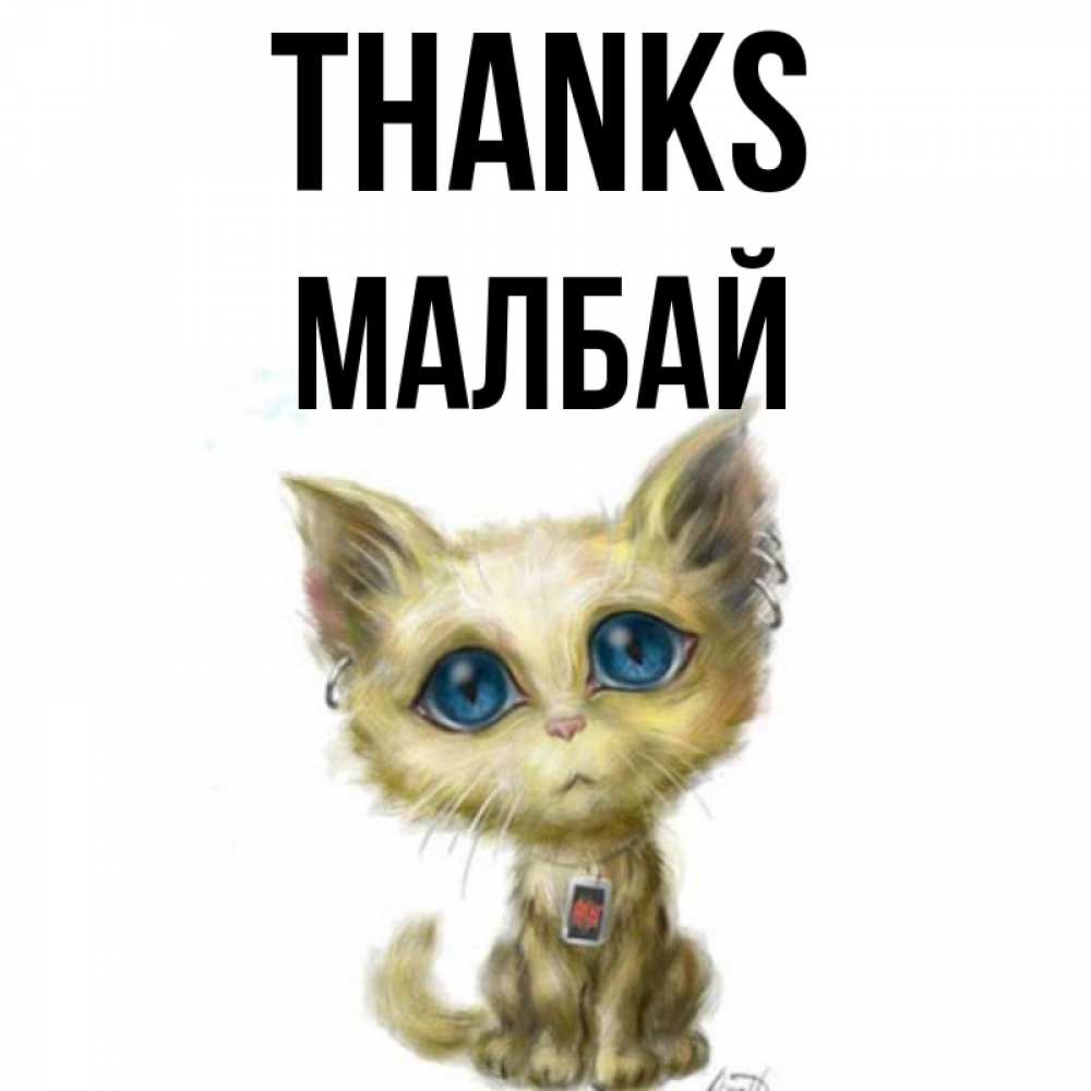 Greetings card с именем, МАЛБАЙ Thanks рисованный кот благодарит вас Greetings with text for free download 