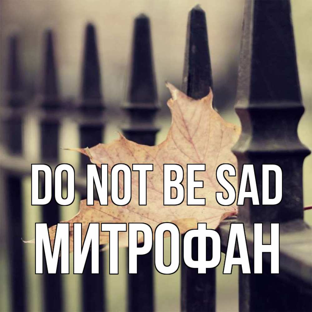 Greetings card с именем, Митрофан Do not be sad лист клена Greetings with text for free download 