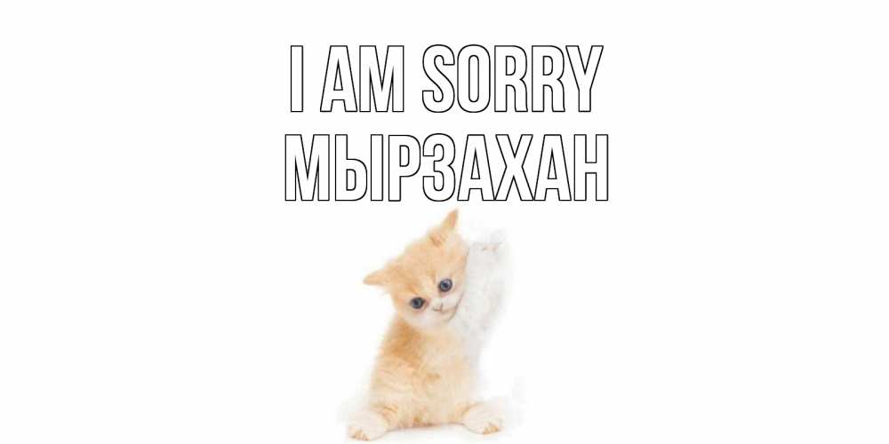 Greetings card с именем, Мырзахан I am sorry кот Greetings with text for free download 