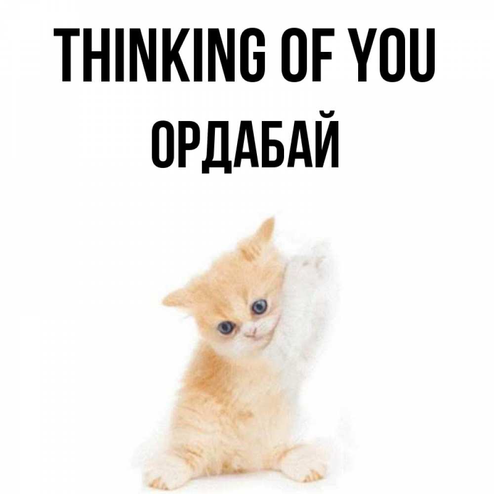 Greetings card с именем, ОРДАБАЙ Thinking of you зверушки и милота Greetings with text for free download 