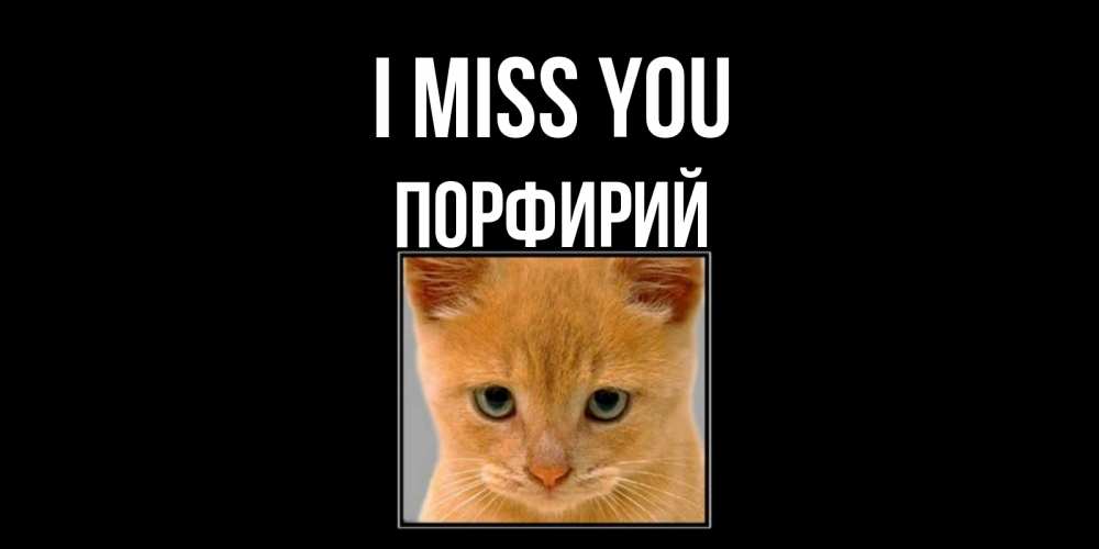 Greetings card с именем, Порфирий I miss you открытки рыжий котенок скучает по тебе Greetings with text for free download 