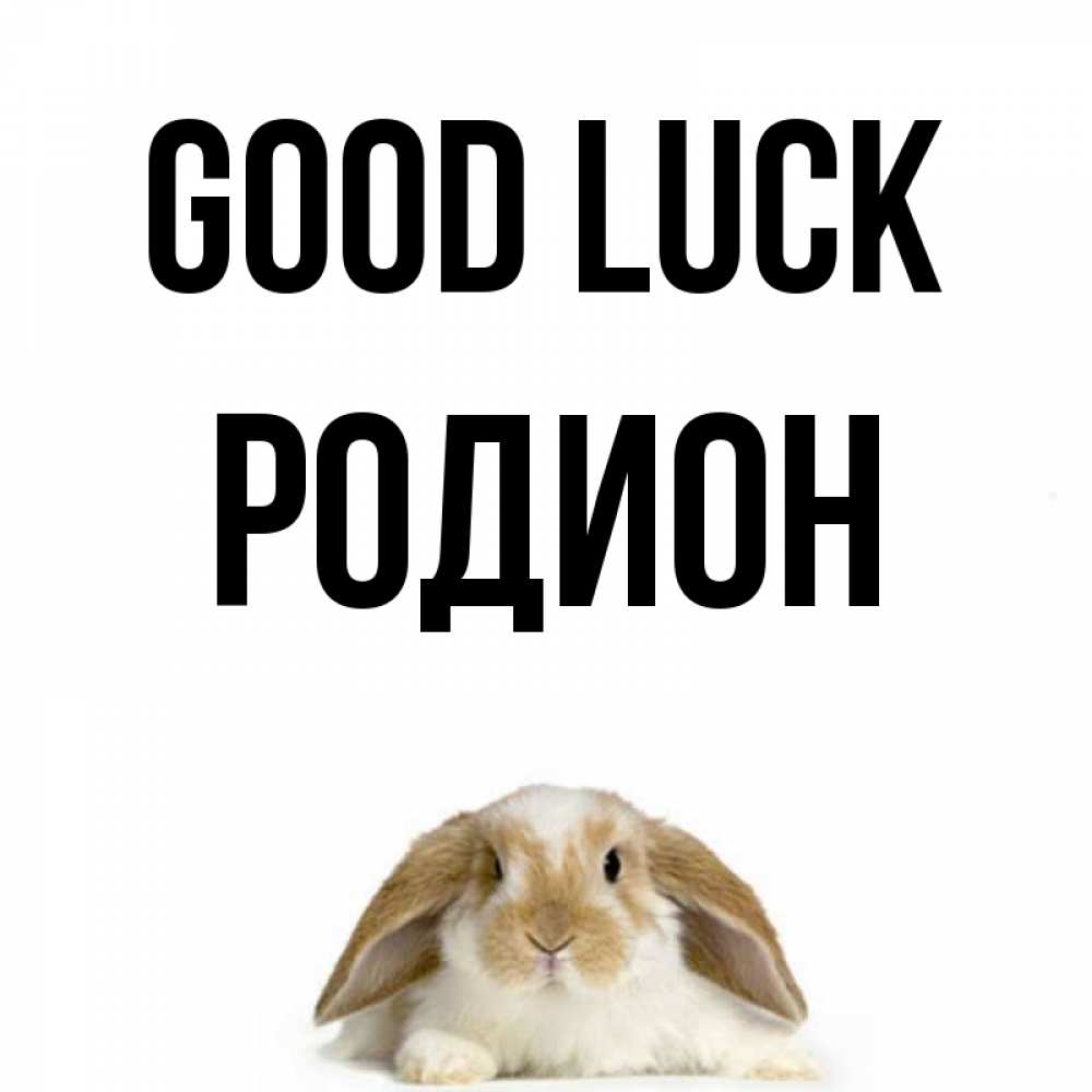 Greetings card с именем, Родион Good luck открытки с произвольным текстом который можно вставить в открытку и создать ее самостоятельно бесплатно онлайн Greetings with text for free download 
