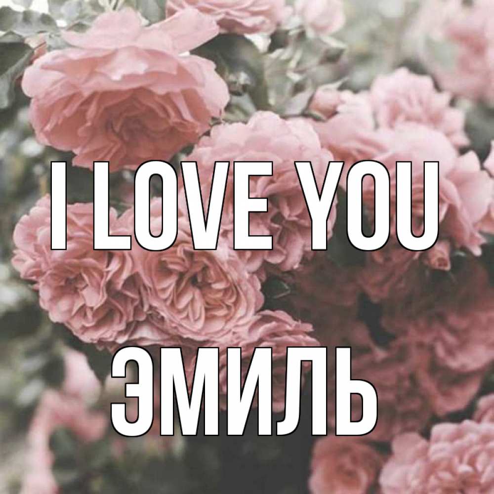 Greetings card с именем, Эмиль I love you розы 3 Greetings with text for free download 
